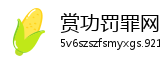 赏功罚罪网